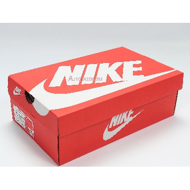 Nike Court Borough Low 2 GS Photon Dust Off Noir BQ5448-005 Photon Dust/Off Noir Sneakers